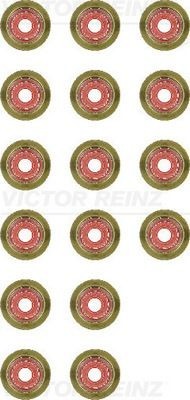 Victor Reinz Valve Stem Seal Set – 16-Piece Engine Seal Kit