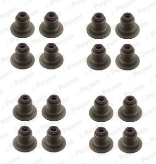 Payen Valve Stem Seal Set – 16 Durable Seals for Engine Efficiency
